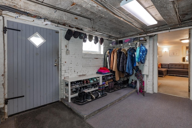 basement featuring carpet