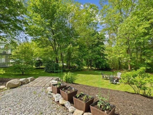 view of yard featuring a vegetable garden