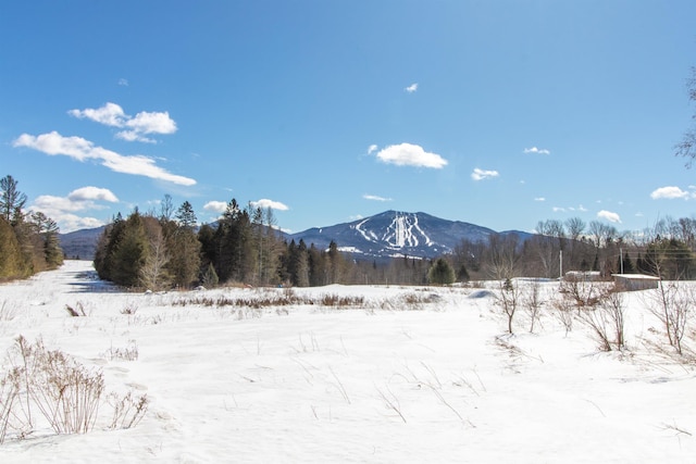 1130 Burke Green Rd, Burke VT, 05832 land for sale