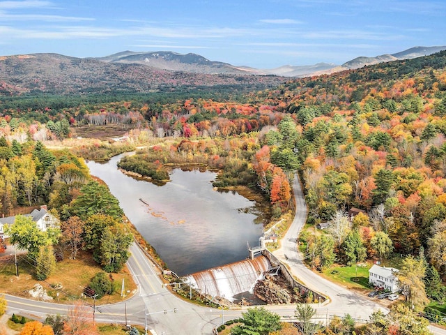 drone / aerial view featuring a view of trees and a water and mountain view