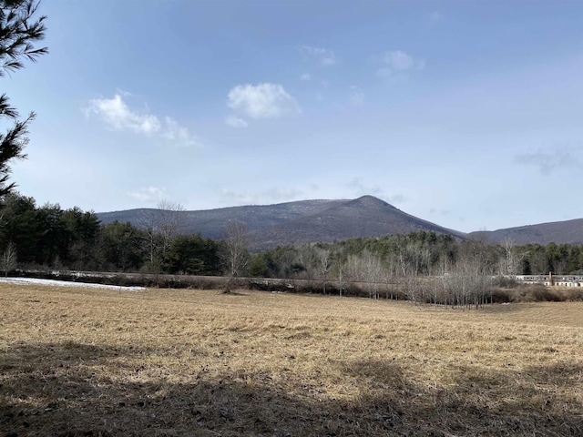 01 Old Depot Rd, Arlington VT, 05250 land for sale