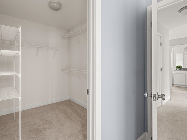 spacious closet featuring light carpet