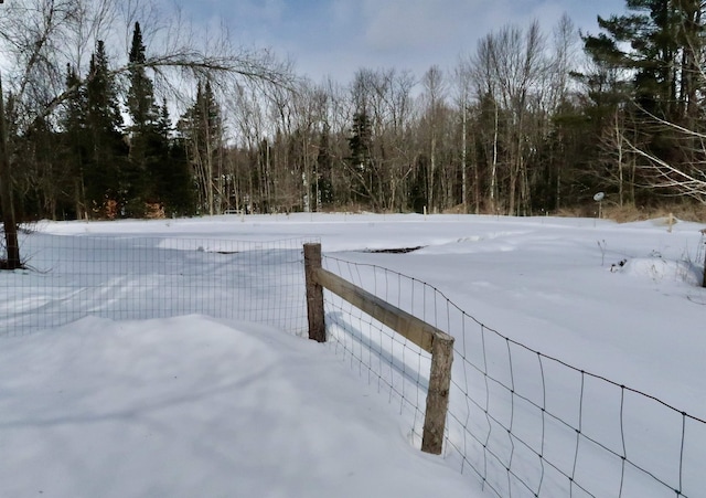 view of yard covered in snow