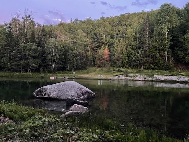 property view of water with a wooded view