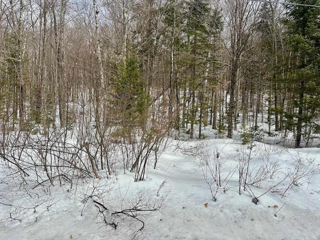 00 Loon Cir, Londonderry VT, 05155 land for sale