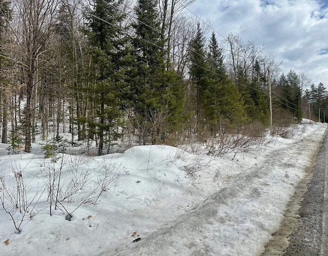 Listing photo 3 for 00 Loon Cir, Londonderry VT 05155