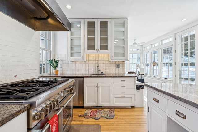 kitchen with extractor fan, dark stone counters, light wood-type flooring, stainless steel appliances, and a sink