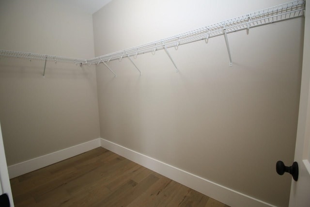 walk in closet featuring wood finished floors