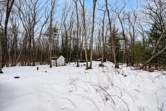 yard covered in snow featuring an outbuilding, a storage shed, and a wooded view