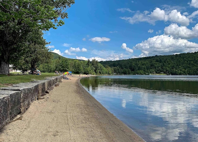 water view featuring a wooded view