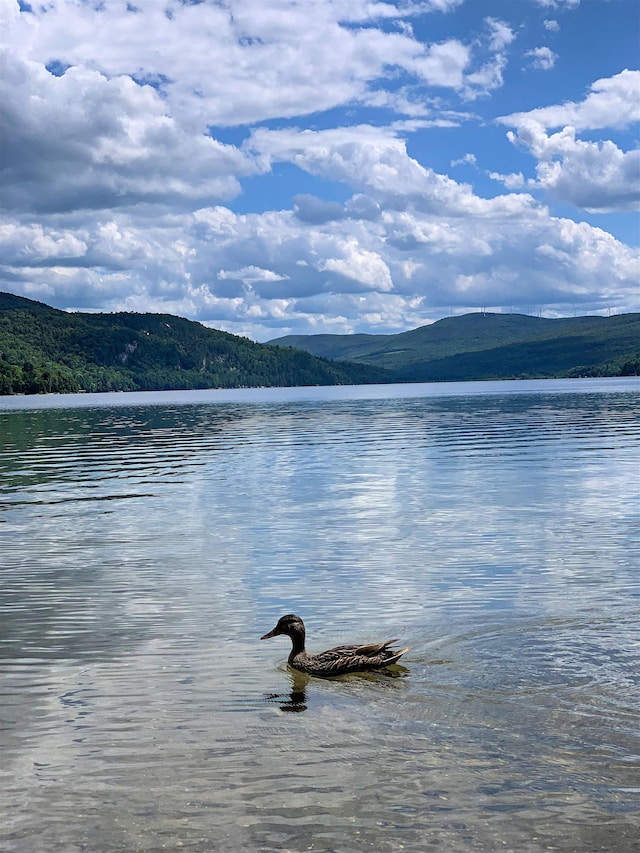 property view of water with a mountain view