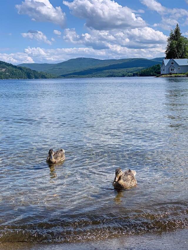 property view of water with a mountain view