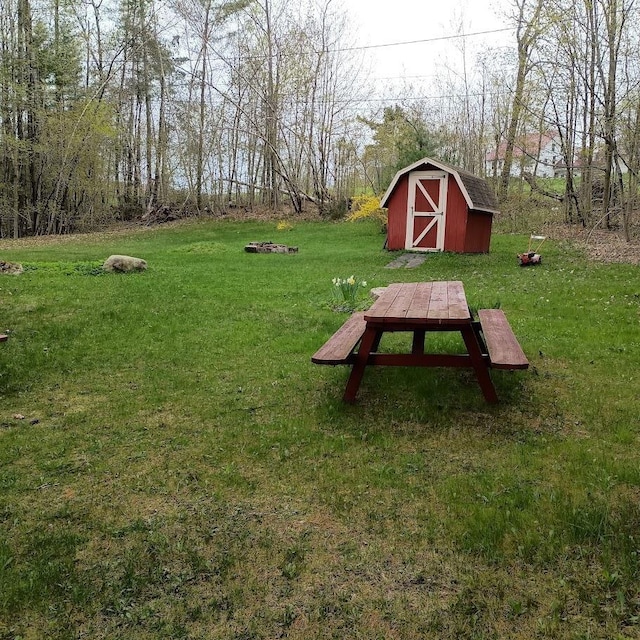 view of yard with a storage shed and an outdoor structure