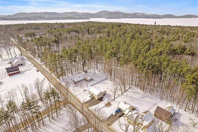 birds eye view of property with a view of trees and a mountain view