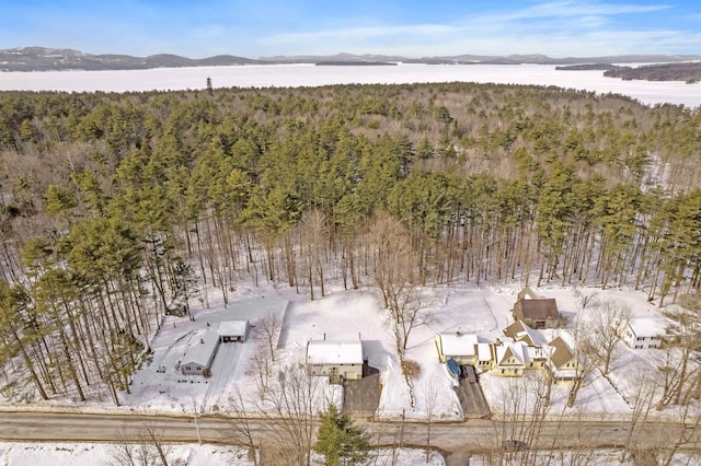 birds eye view of property with a view of trees