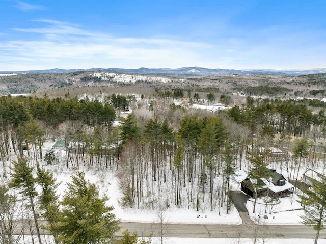 Listing photo 2 for 94 Soleil Mtn, Laconia NH 03246