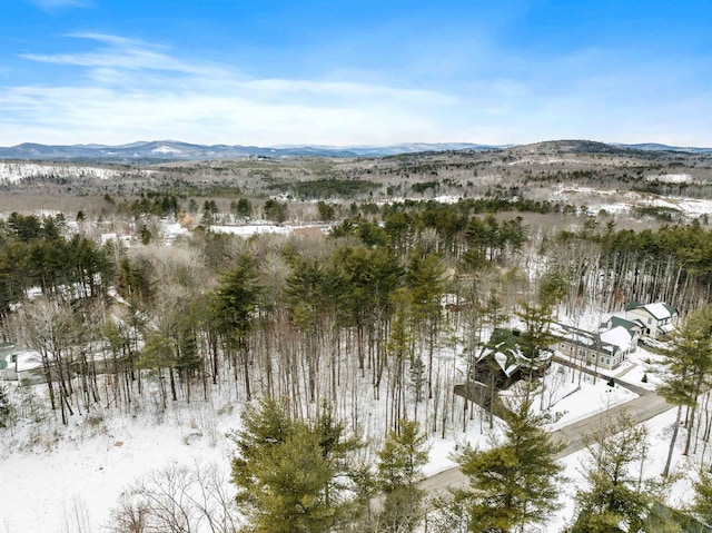 Listing photo 3 for 94 Soleil Mtn, Laconia NH 03246