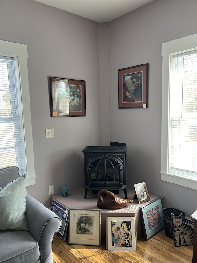 room details with a wood stove and wood finished floors