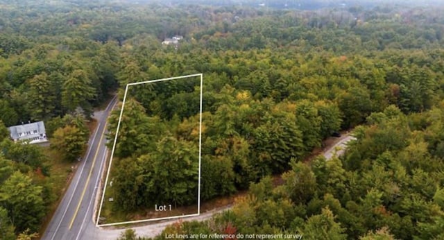 25-1 Winnipesaukee Dr, Wolfeboro NH, 03894 land for sale