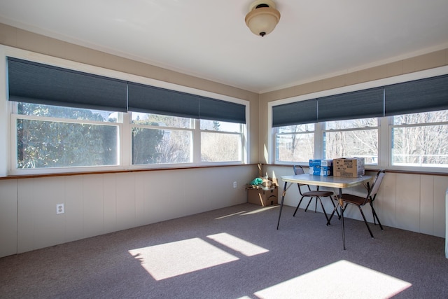 sunroom / solarium featuring a wealth of natural light