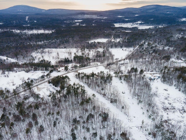 snowy aerial view featuring a mountain view