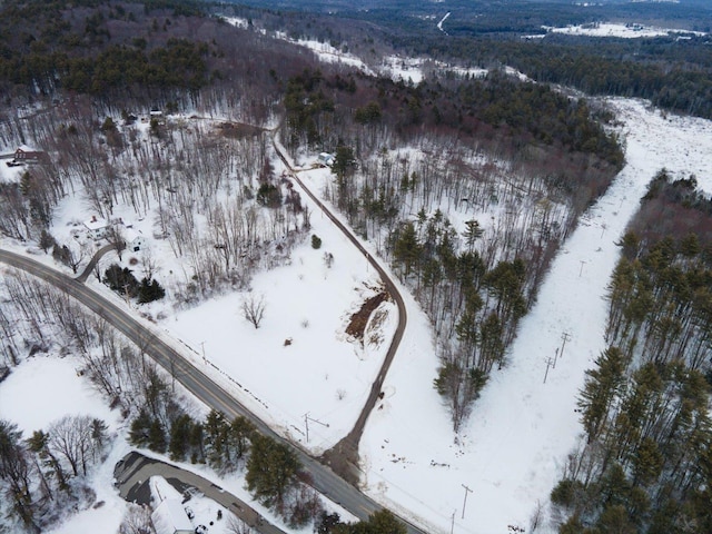 snowy aerial view featuring a view of trees