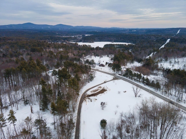 snowy aerial view with a mountain view and a view of trees