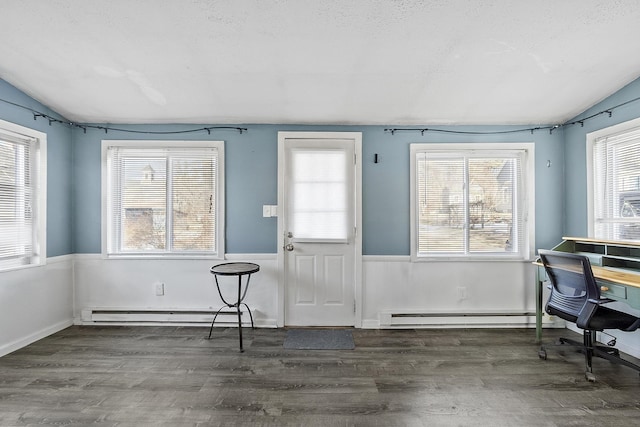 interior space featuring baseboard heating, wood finished floors, and vaulted ceiling