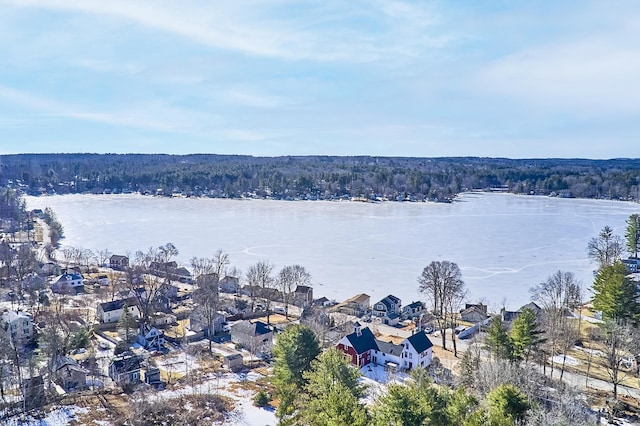 property view of water with a forest view