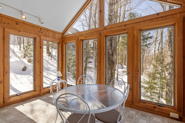 sunroom / solarium with lofted ceiling and track lighting