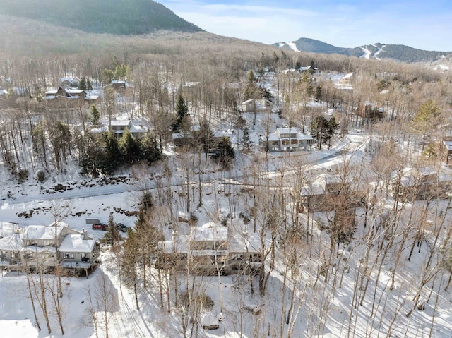 snowy aerial view with a mountain view