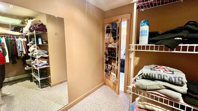 walk in closet with carpet floors