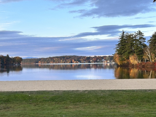 property view of water featuring a forest view