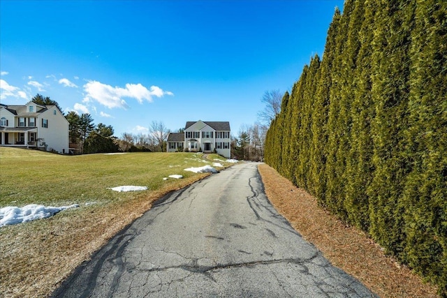 view of street with driveway