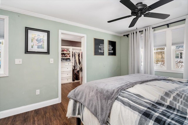 bedroom with a spacious closet, baseboards, a closet, ornamental molding, and dark wood-style floors