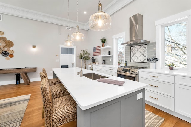 kitchen featuring light wood-type flooring, stainless steel gas stove, a sink, backsplash, and exhaust hood