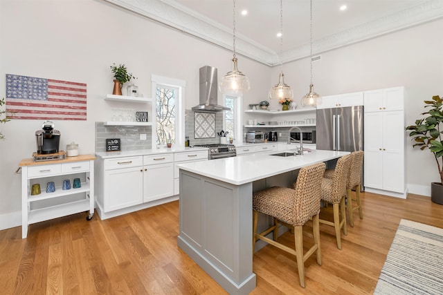 kitchen with a sink, ventilation hood, stainless steel appliances, and open shelves