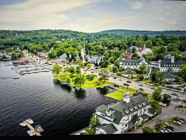 aerial view with a forest view and a water view