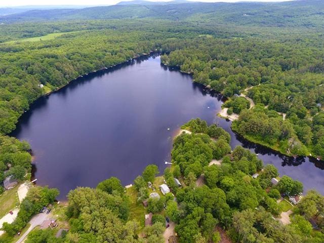 birds eye view of property featuring a view of trees and a water view