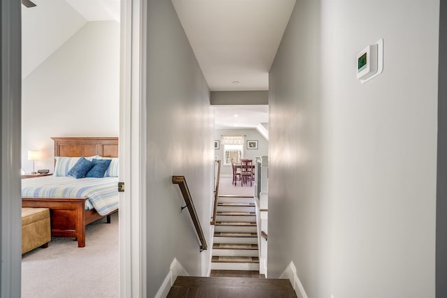 staircase featuring carpet floors