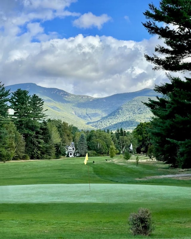 view of property's community featuring a lawn and a mountain view