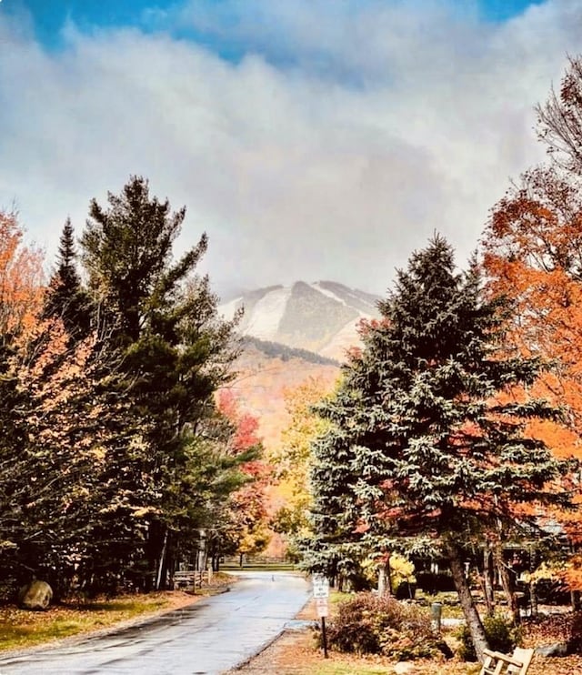 property view of mountains