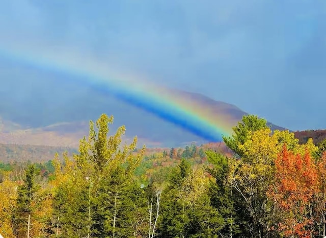 mountain view with a wooded view