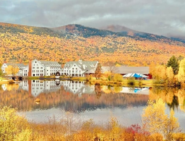 water view featuring a mountain view