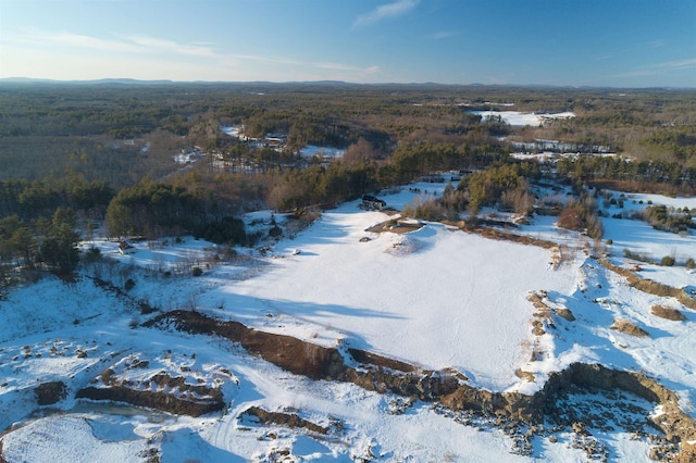 snowy aerial view with a view of trees