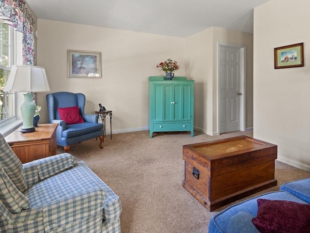 living area with baseboards and carpet