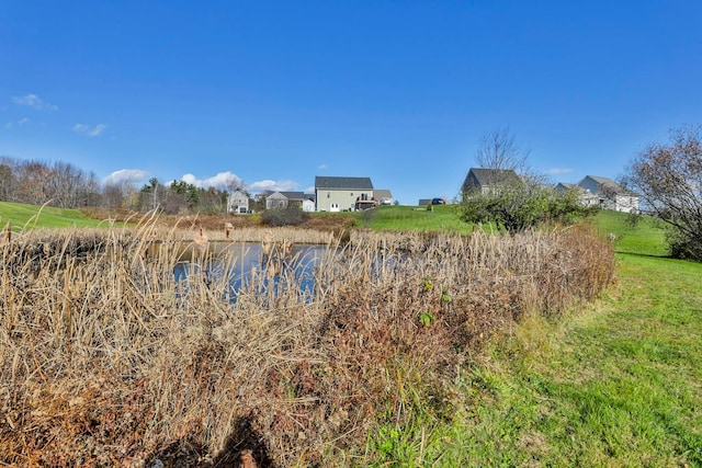 view of local wilderness featuring a water view