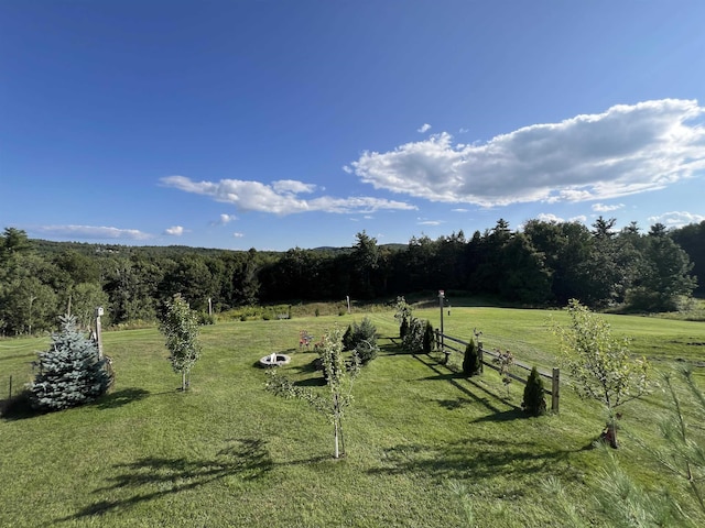 view of yard with fence, a rural view, and a wooded view