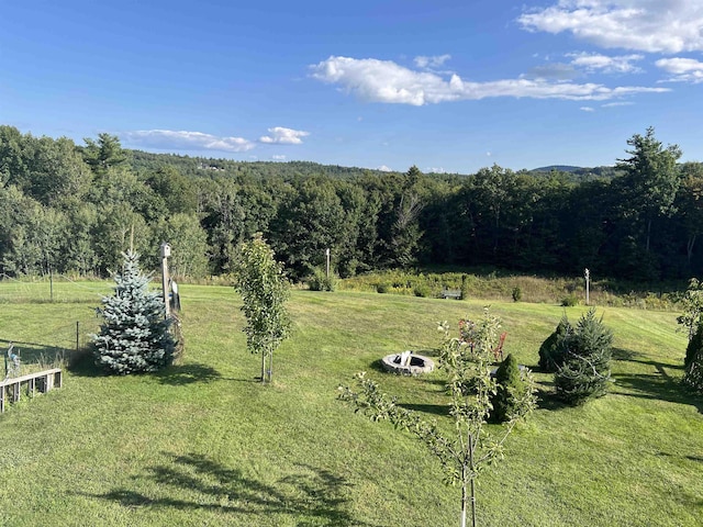 view of yard featuring a view of trees