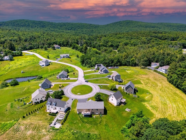 aerial view at dusk with a view of trees